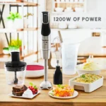 Moulinex Mixeur Infinyforce - DD95Hd10
